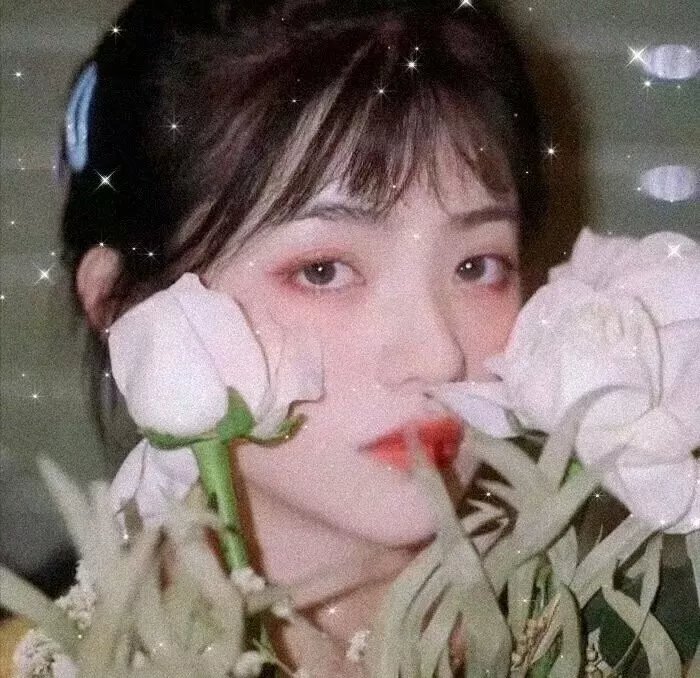 男孩和他的狗
